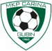Carina Gubin logo