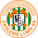 FemGol Lubin logo
