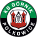 Górnik Polkowice logo